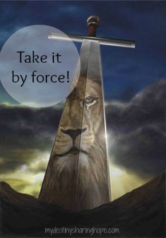 Take it by force!