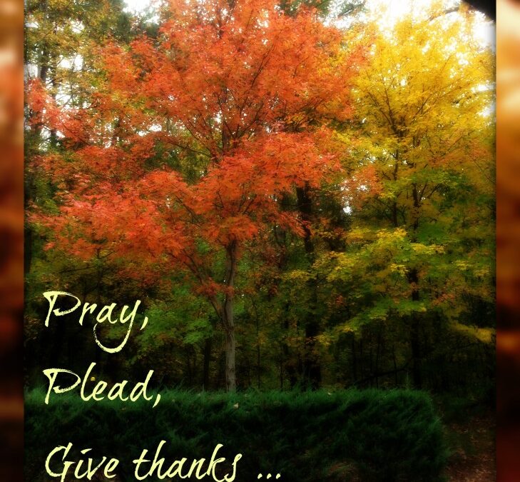 Pray, Plead, Give thanks …